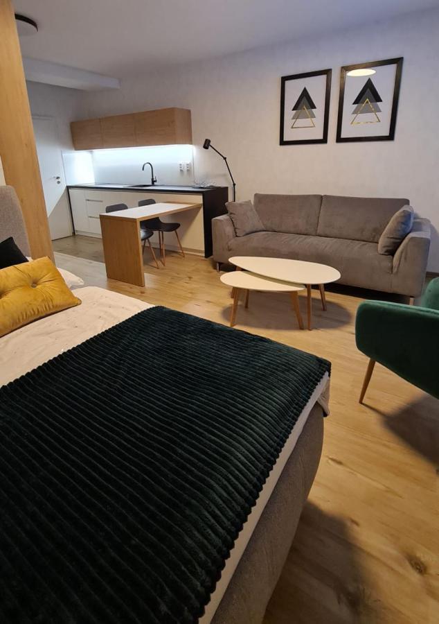 רייקה טפליצה Apartman Hestia 5 מראה חיצוני תמונה